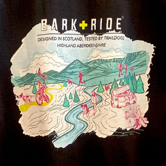 Scott Burnett Collaboration Highlight