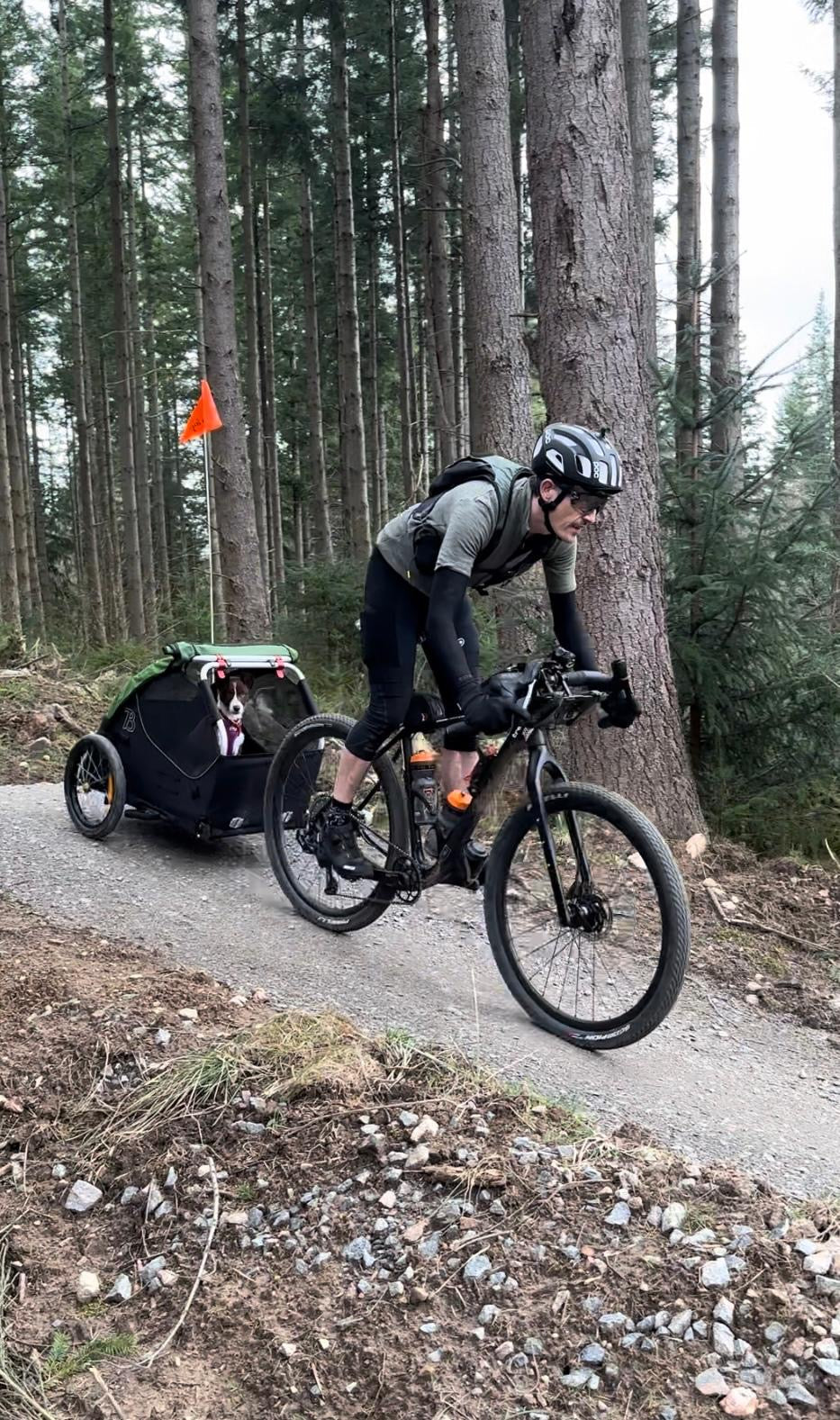 Training Evie, Sally and Alex Watts