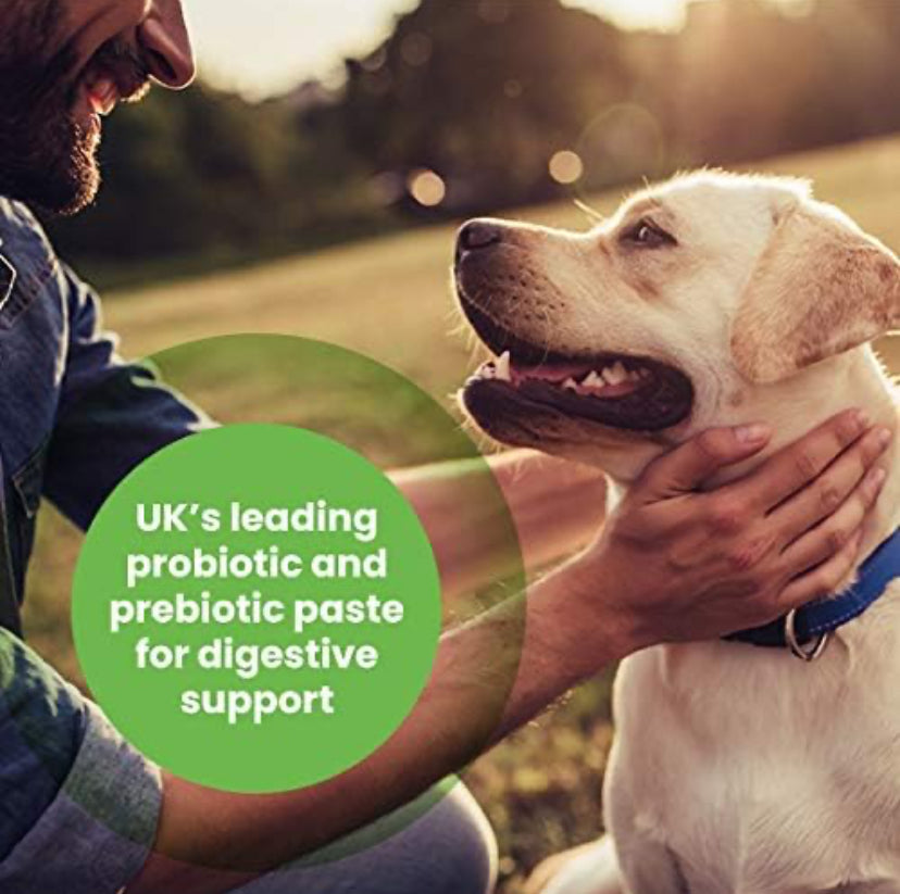 Protexin- Pro Kolin Advanced Prebiotic Paste for Dogs