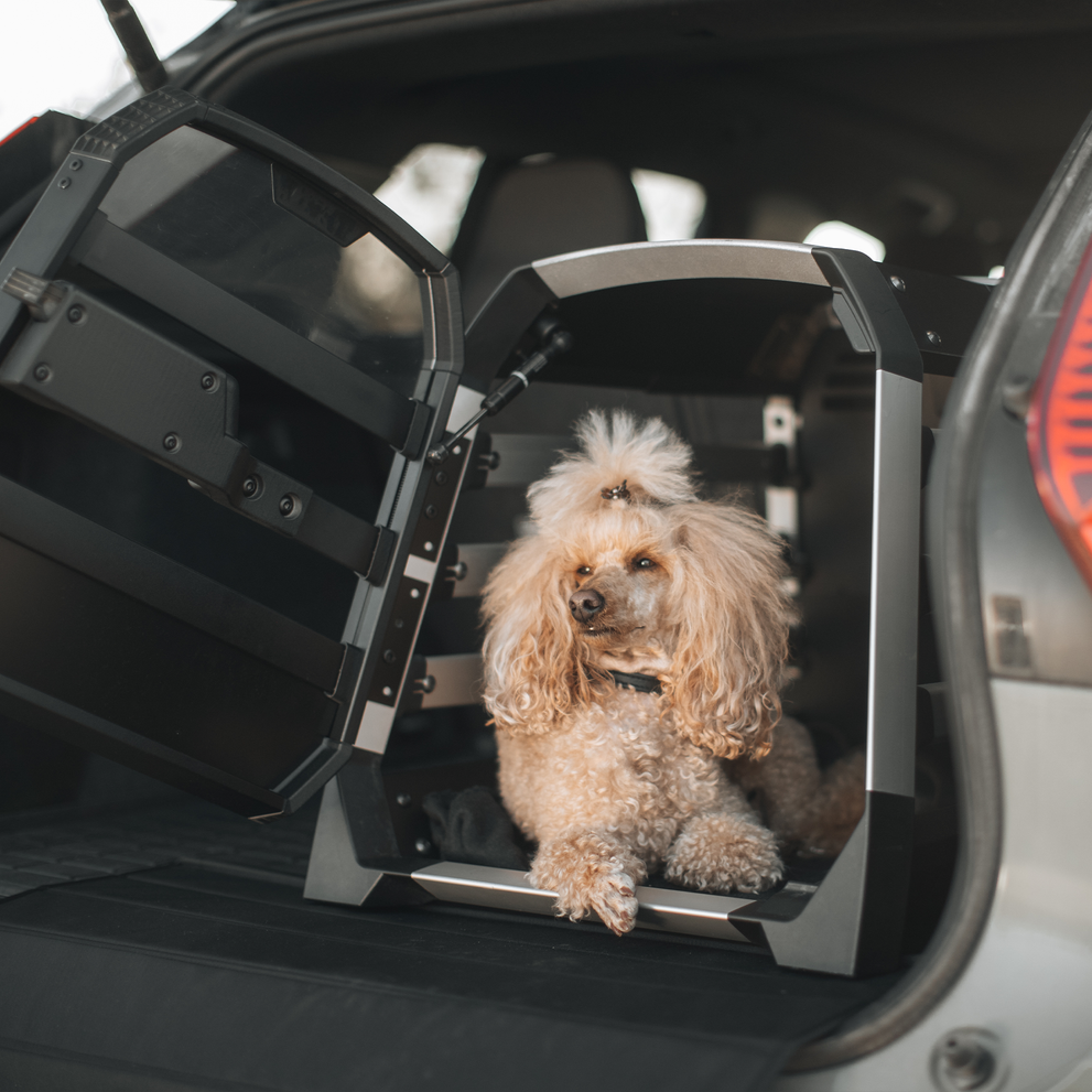 Thule Allax S car dog crate