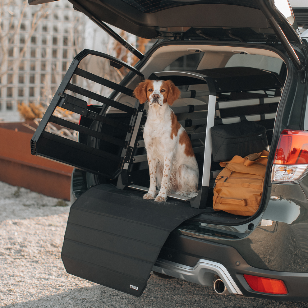Thule Allax S car dog crate