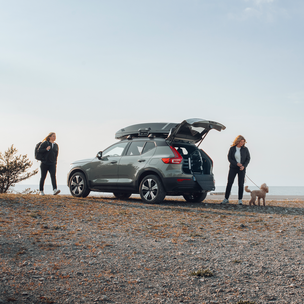 Thule Allax S car dog crate