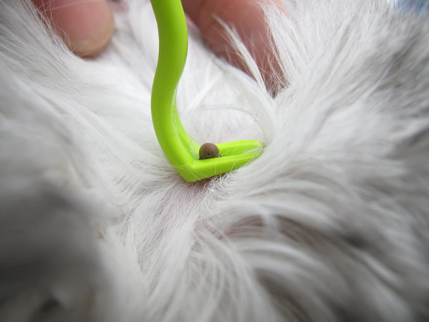 Tick Remover Set of 3