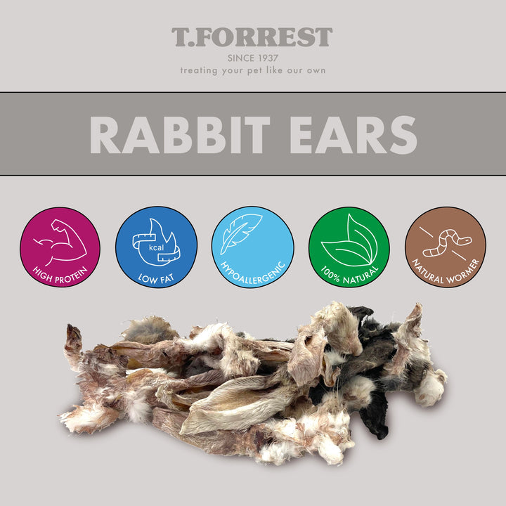 Rabbit Ears with Hair