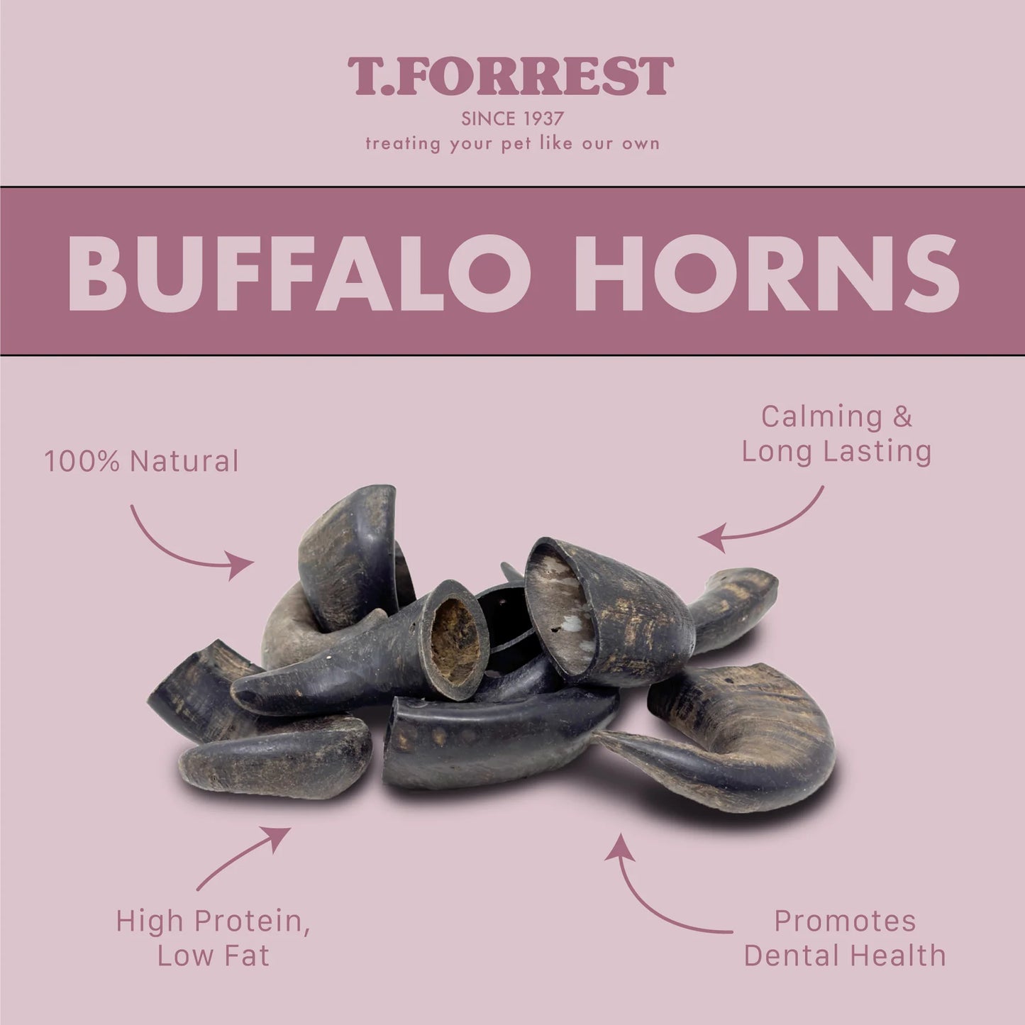 TF Large Buffalo Horn