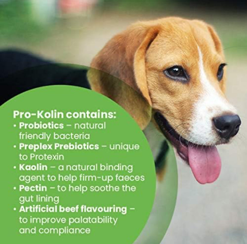 Protexin- Pro Kolin Advanced Prebiotic Paste for Dogs