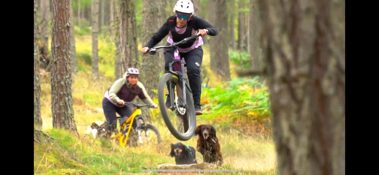 Traildog Training - The Ultimate Guide to Biking with your dog.