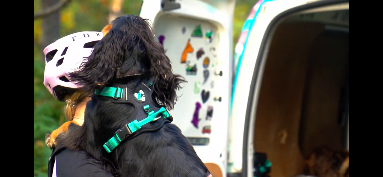 Traildog Training - The Ultimate Guide to Biking with your dog.
