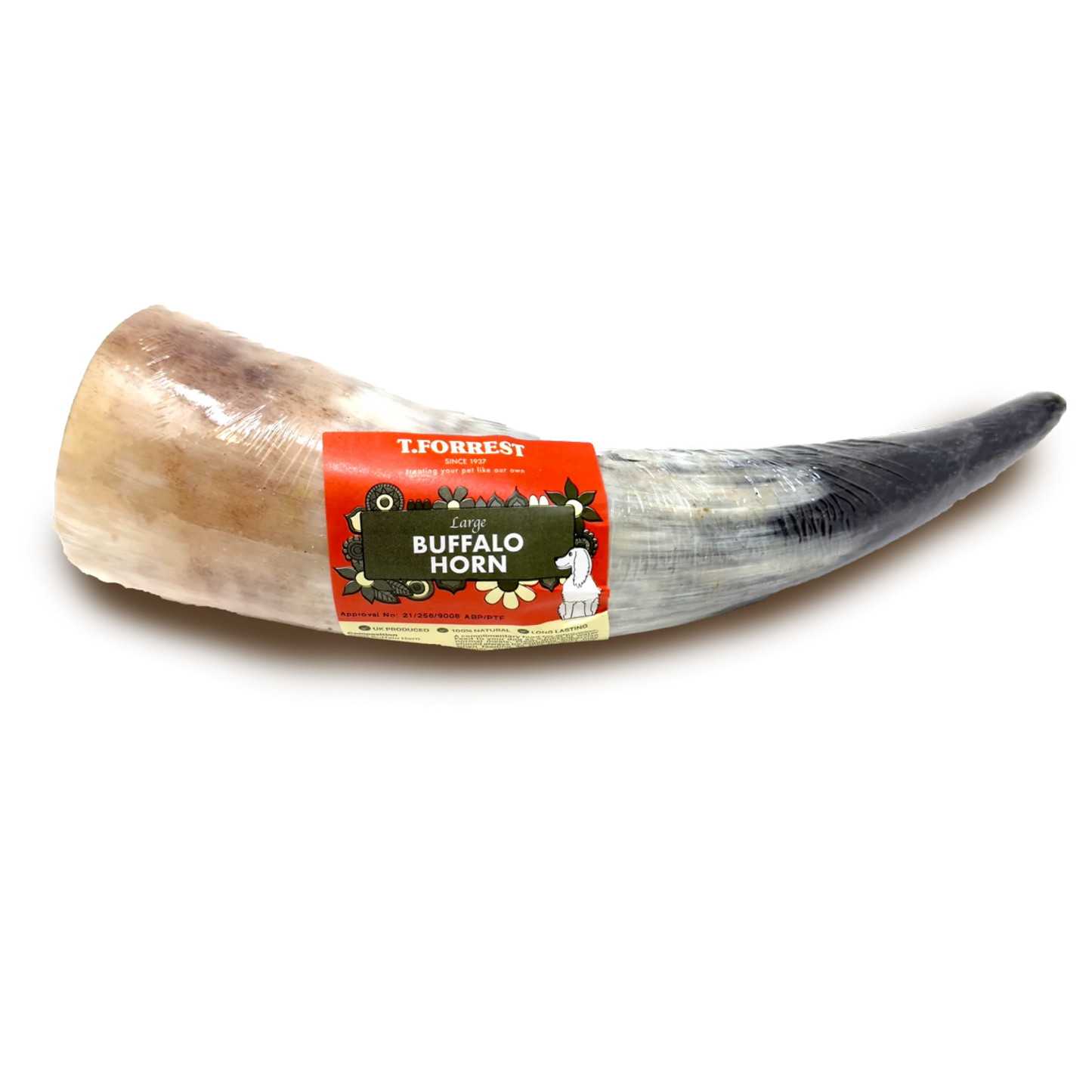 TF Large Buffalo Horn