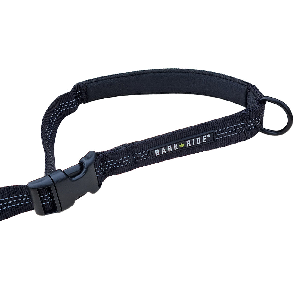 Rope & Bungee Dog Lead 2-in-1