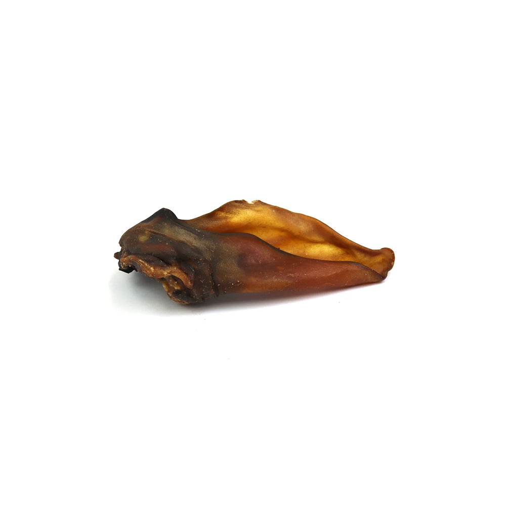 Cow Ears - Single