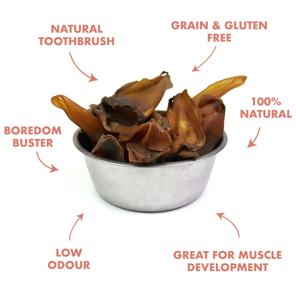 Cow Ears - Benefits