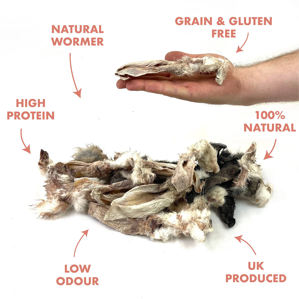Furry Rabbit Ears - Benefits