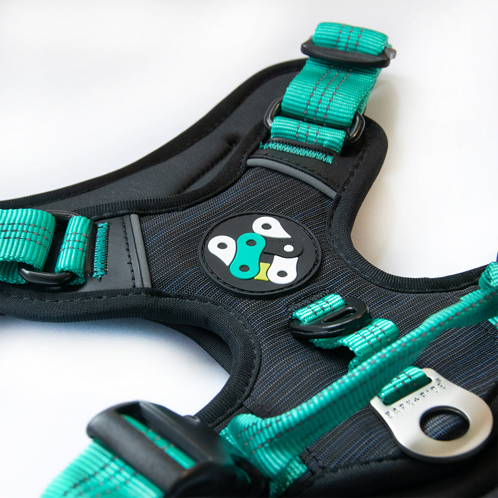 Lewis Adventure Dog Harness, Flat