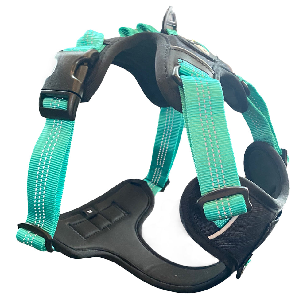 Lewis Adventure Dog Harness, Right Side View
