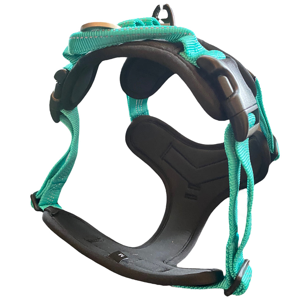 Lewis Adventure Dog Harness, Back View