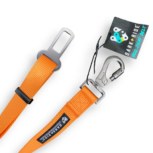 Ride Safe Dog Seat Belt, ISO-FIX and Carabiner