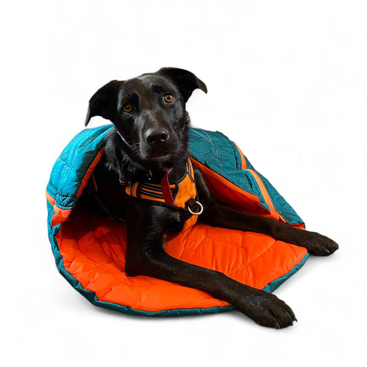 Harris Dog Sleeping Bag, Lab inside