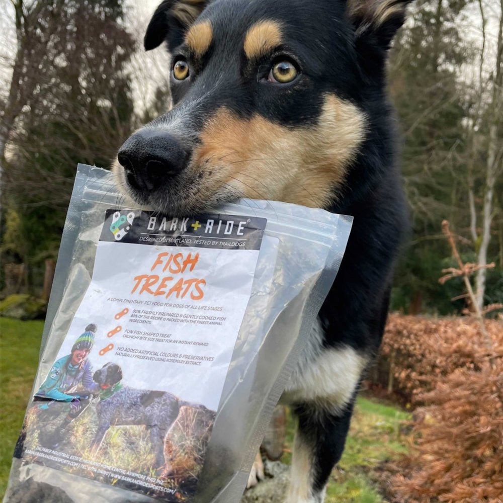 Dog Training Treats - Bag in Dogs Mouth