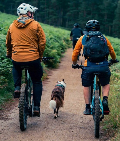 Traildog Training - The Ultimate Guide to Biking with your dog.