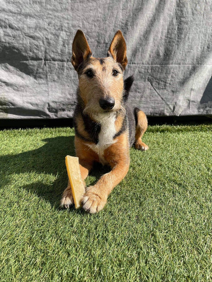 K2 Yak Chews 100% Natural Longer Lasting Dog Treats Small