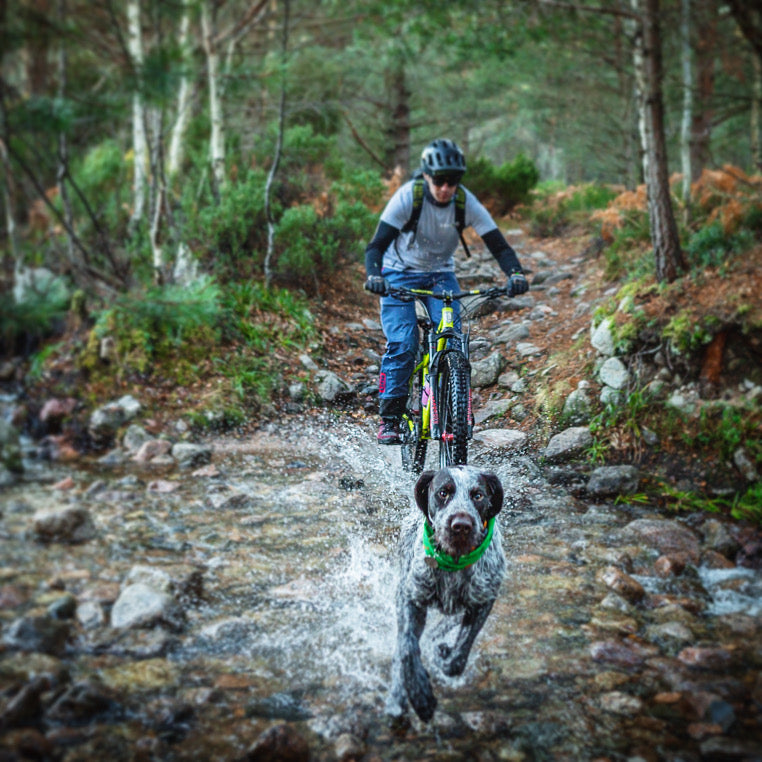 Traildog Training - The Ultimate Guide to Biking with your dog.
