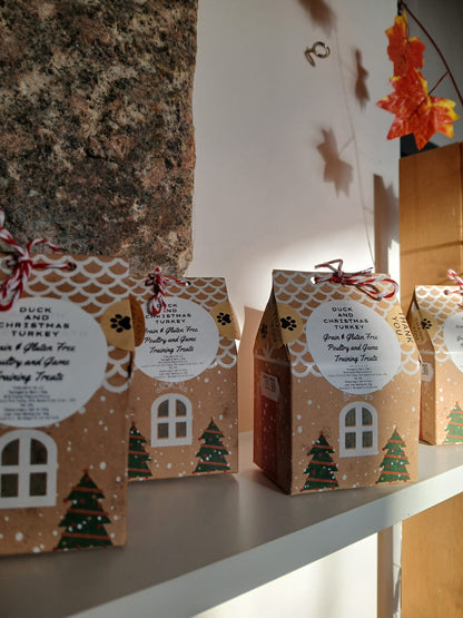 Gingerbread House Treat Box