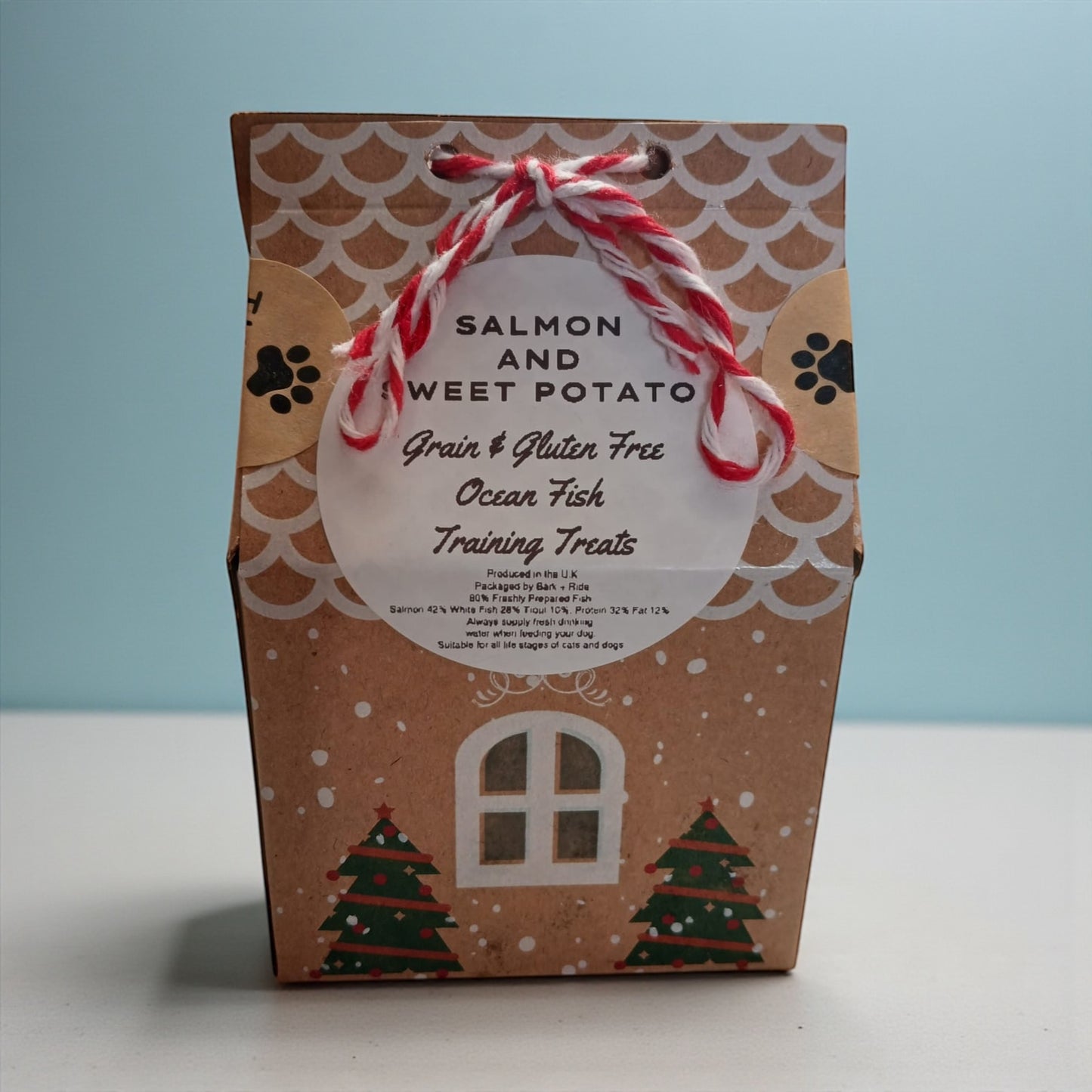 Gingerbread House Treat Box