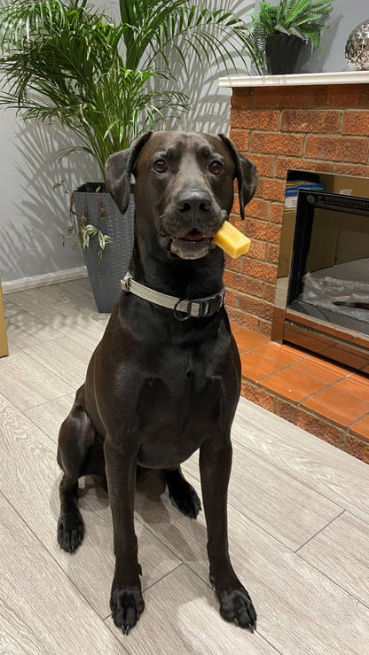 K2 Yak Chews 100% Natural Longer Lasting Dog Treats Small