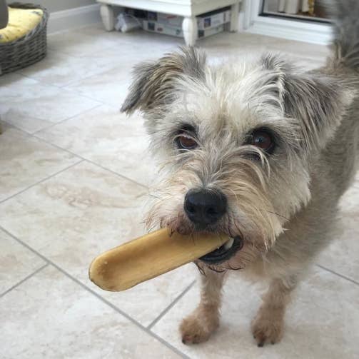 K2 Yak Chews 100% Natural Longer Lasting Dog Treats Small