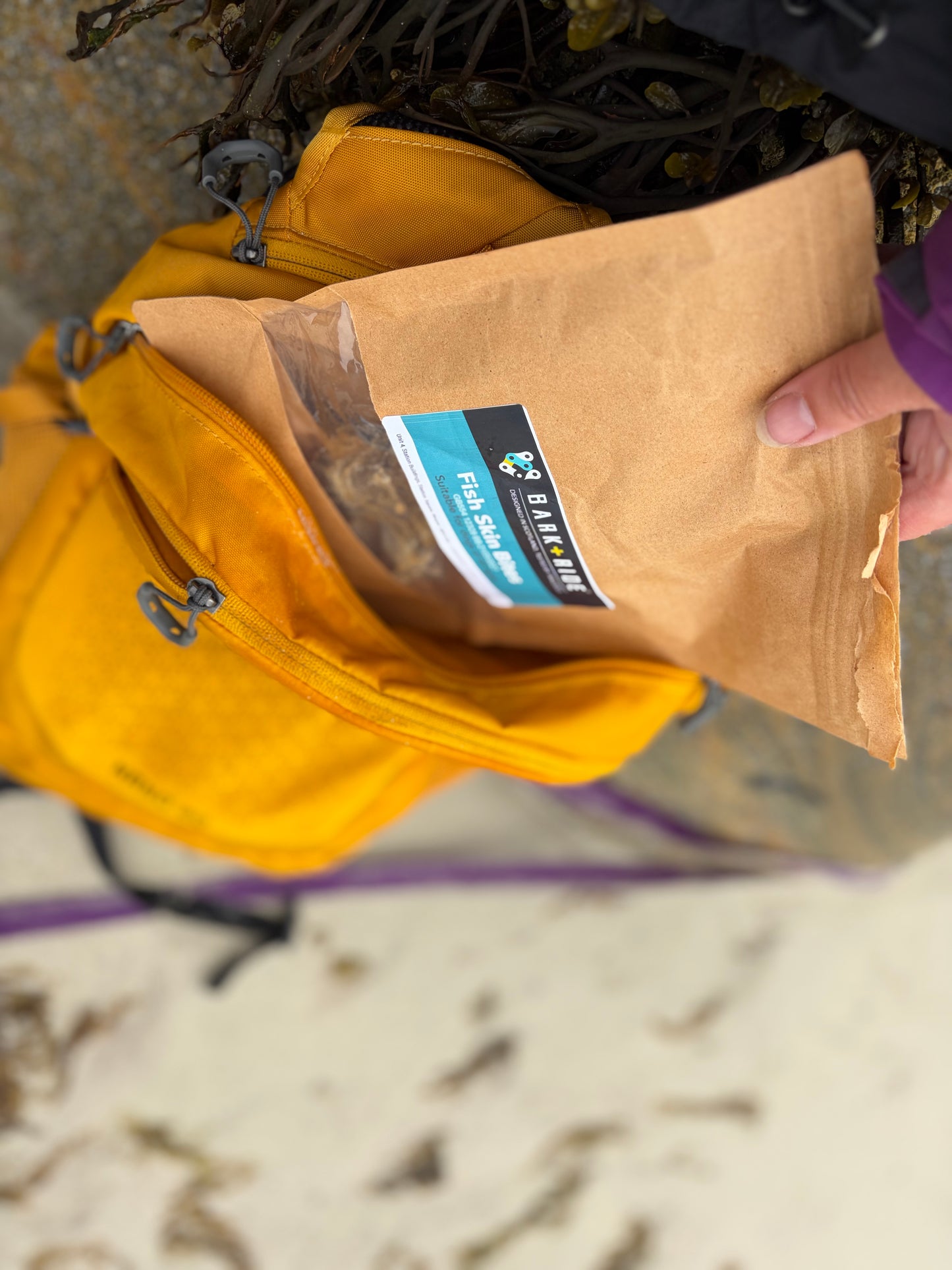 Bark + Ride Fish Skin Bites