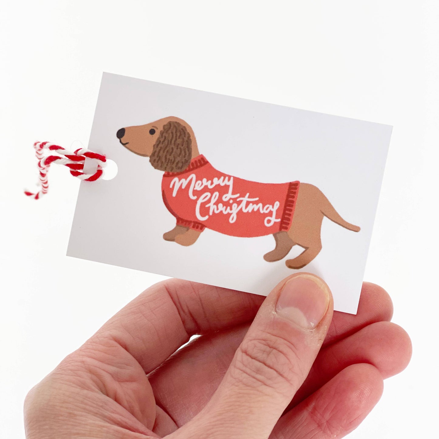 Dachshund Gift Tags x 4