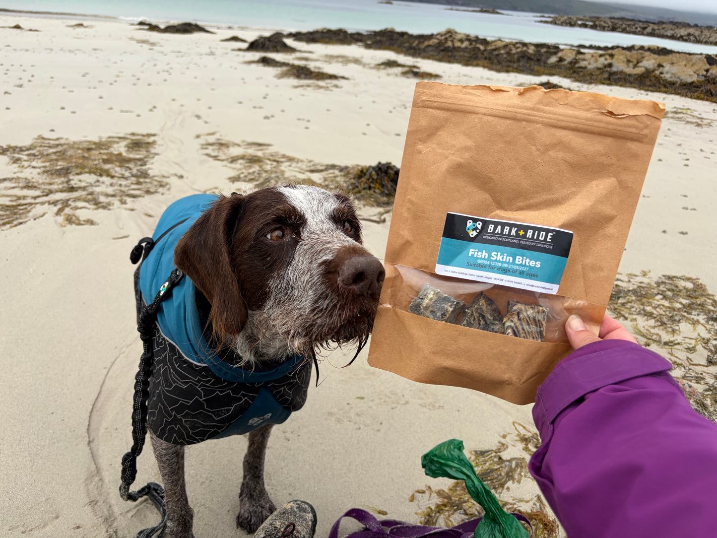Bark + Ride Fish Skin Bites