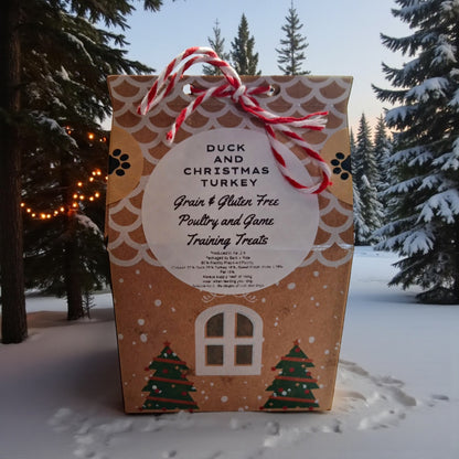 Gingerbread House Treat Box