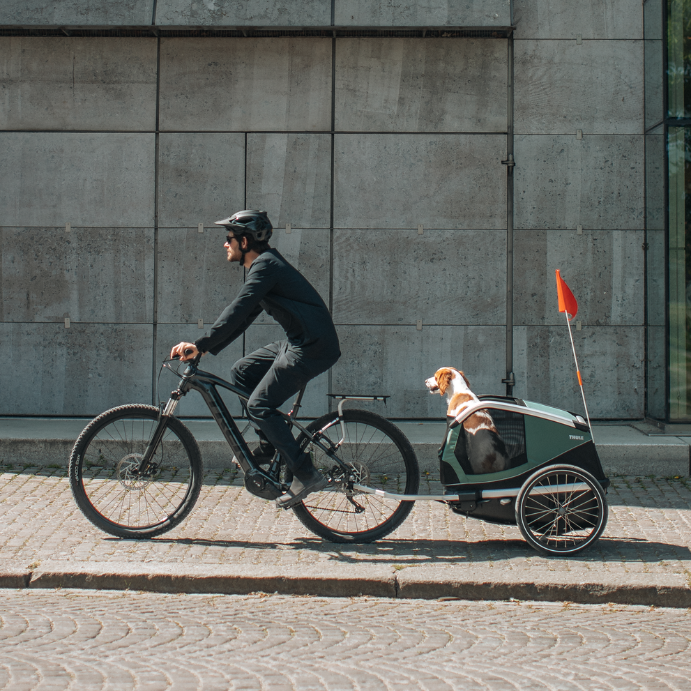 Thule Bexey Dog Bike Trailer