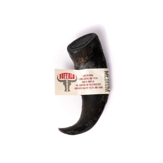 Medium Buffalo Horn