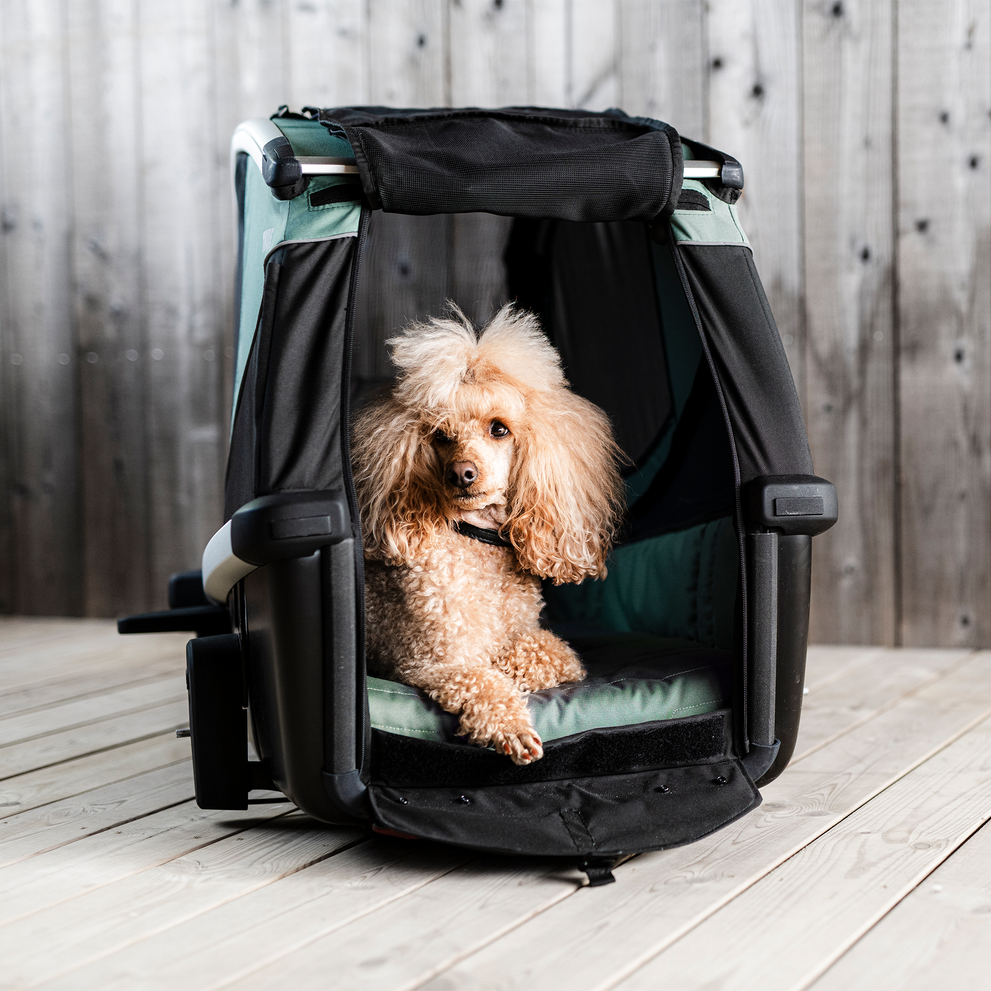 Thule Dog Trailer Bundle