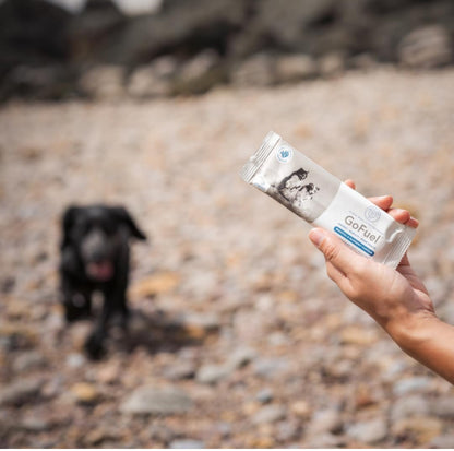 Go Fuel Energy Bars for Dogs