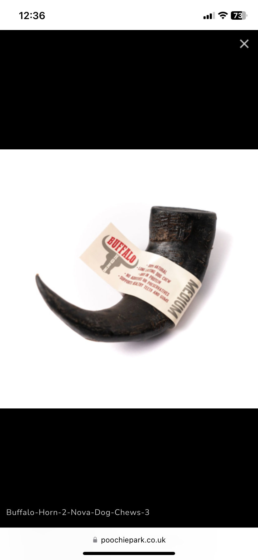 Buffalo Horn Medium