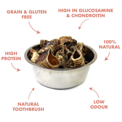 Trachea Beef Small