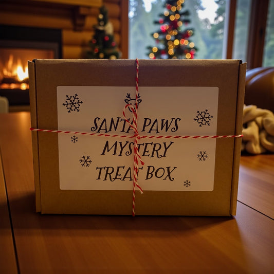 Bark + Ride Mystery Natural Treat Box