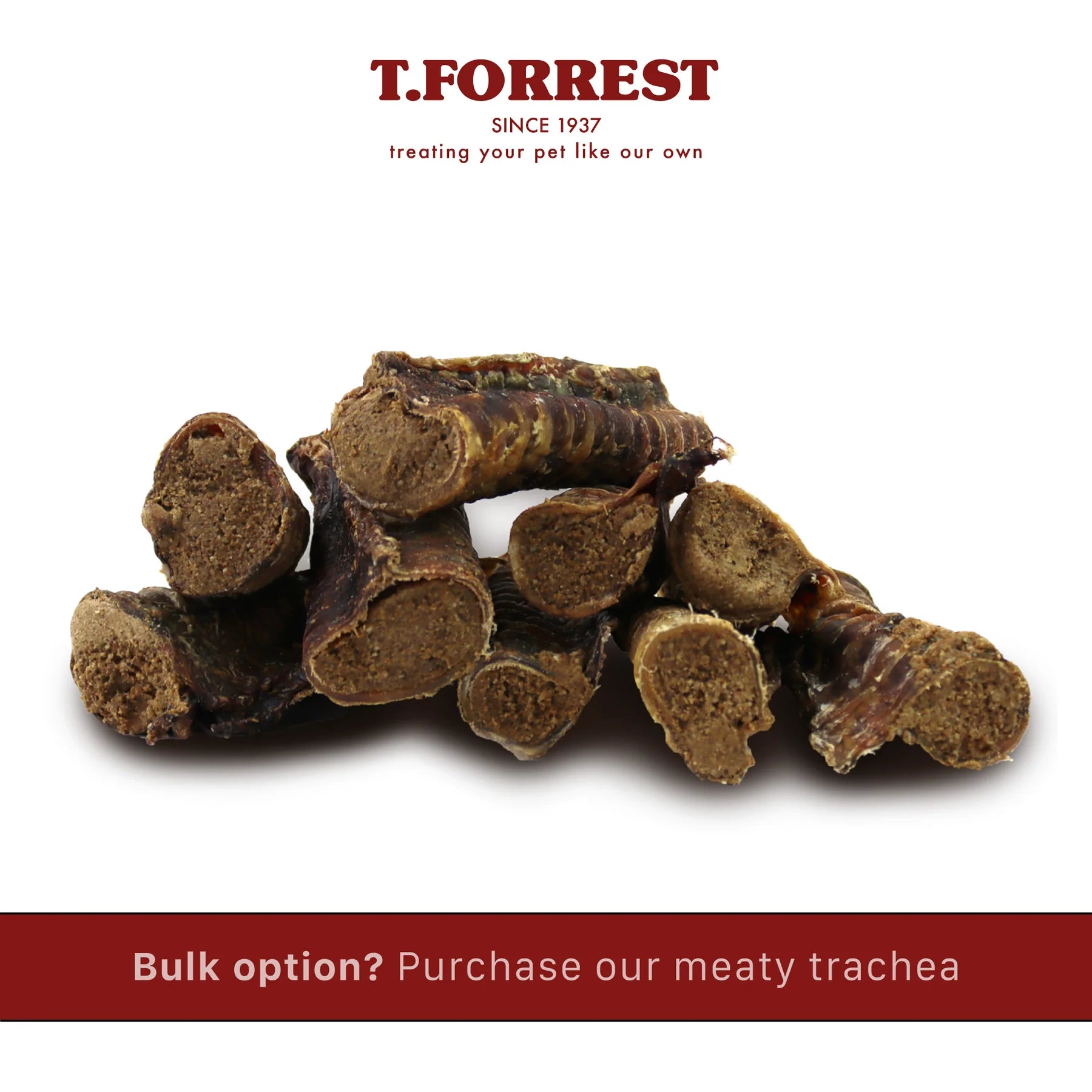 Christmas Yule Log – Bark + Ride