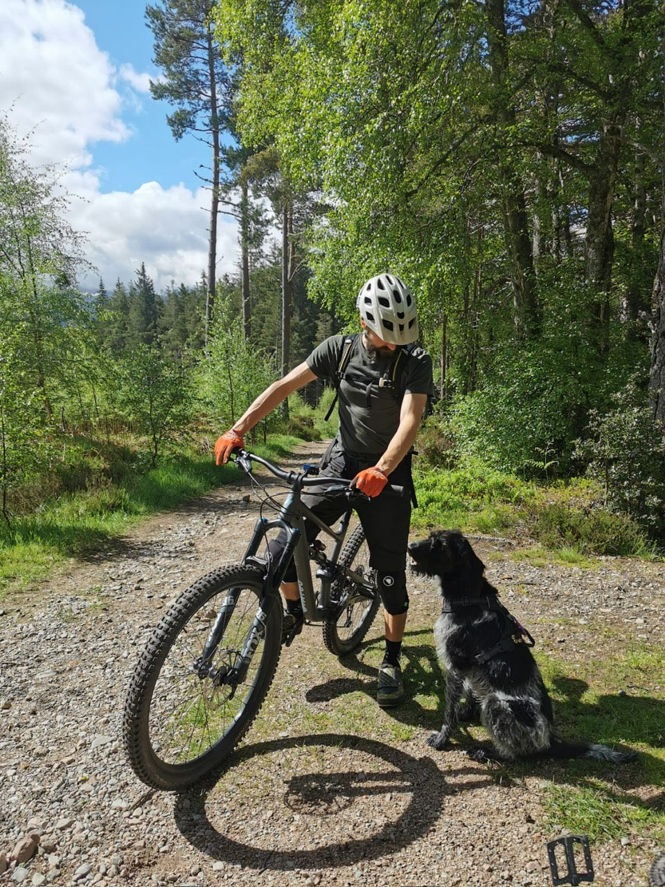 Traildog Training - The Ultimate Guide to Biking with your dog.