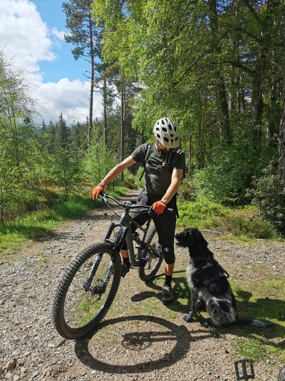 Traildog Training - The Ultimate Guide to Biking with your dog.