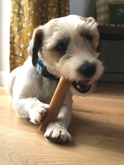 K2 Yak Chews 100% Natural Longer Lasting Dog Treats Medium