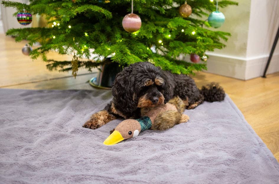 Festive Goose Green Dog Toy