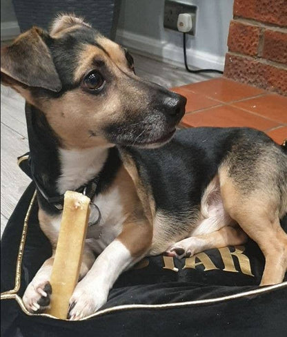 K2 Yak Chews 100% Natural Longer Lasting Dog Treats Large