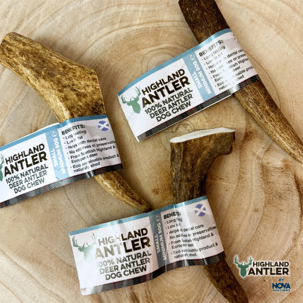 Highland Antler Natural Dog Chew