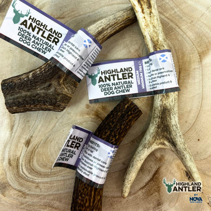 Highland Antler Natural Dog Chew