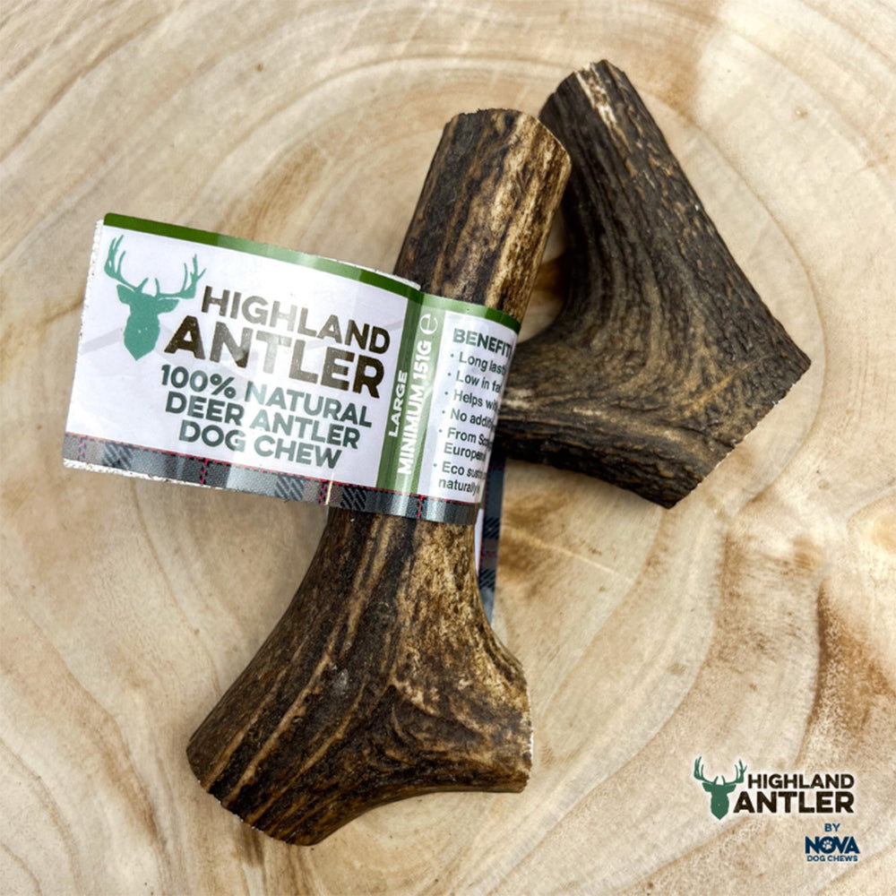 Highland Antler Natural Dog Chew